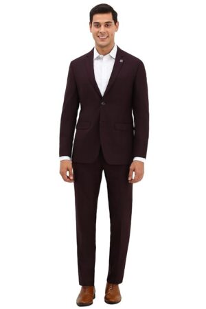 Men Maroon Slim Fit Check Formal Two Piece Suit
